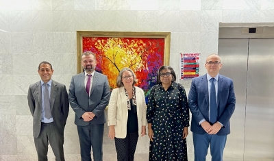 The IMF Fiscal Affairs Department delegation hosted by the DMO in Abuja on November 13, 2025